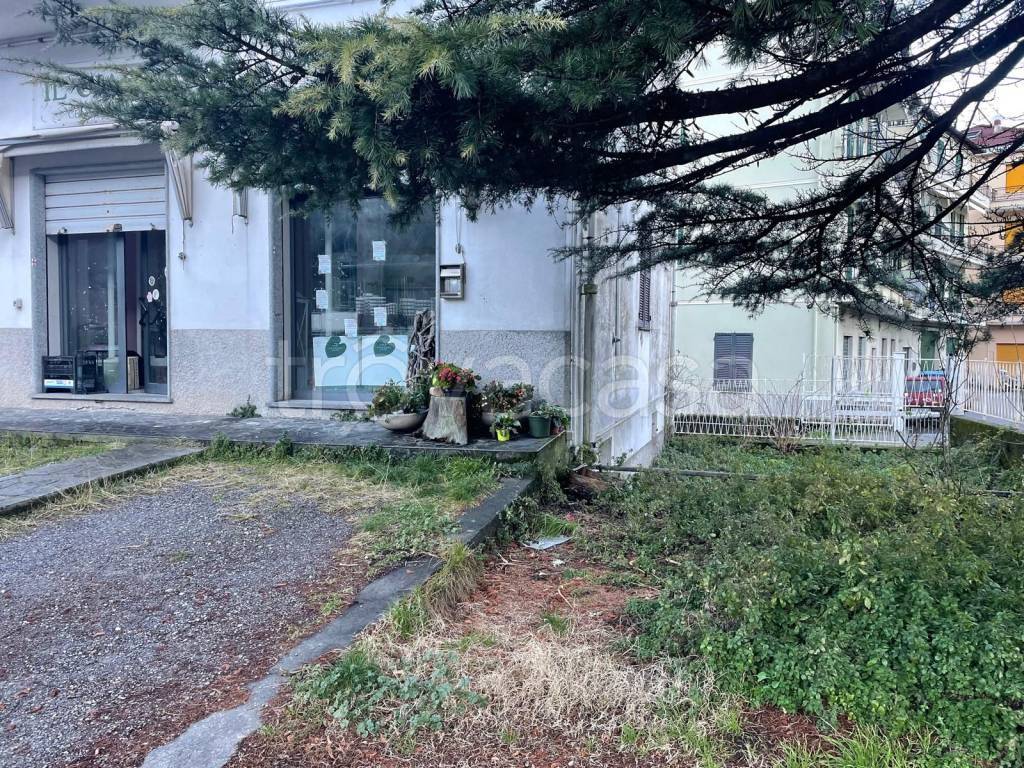 immagine annuncio 2 di 11