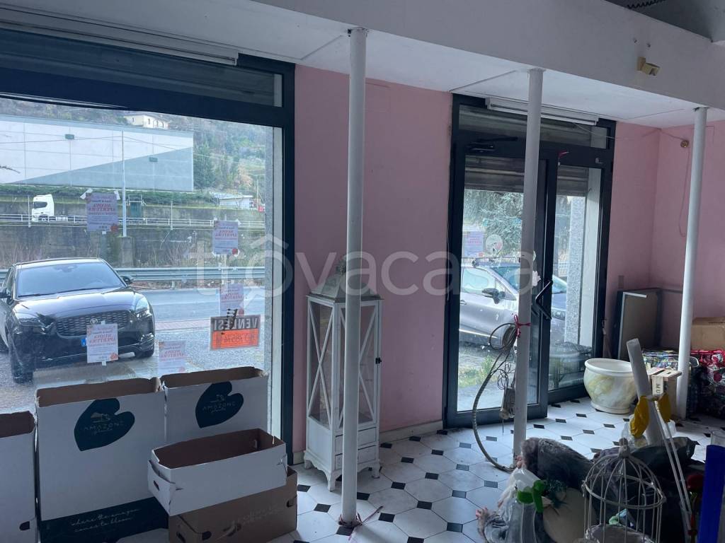 immagine annuncio 4 di 11