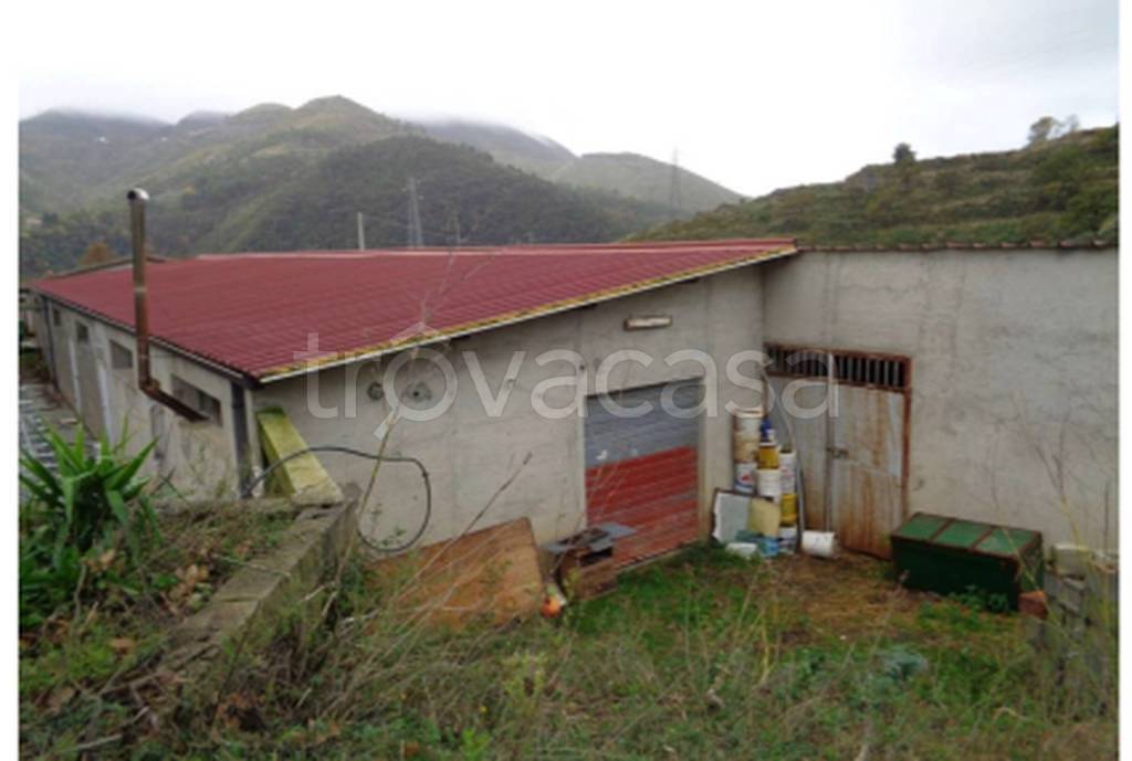 immagine annuncio 4 di 12