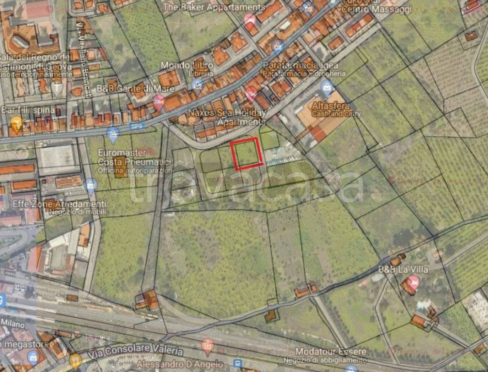 immagine annuncio 1 di 15