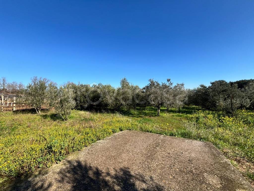 immagine annuncio 6 di 8