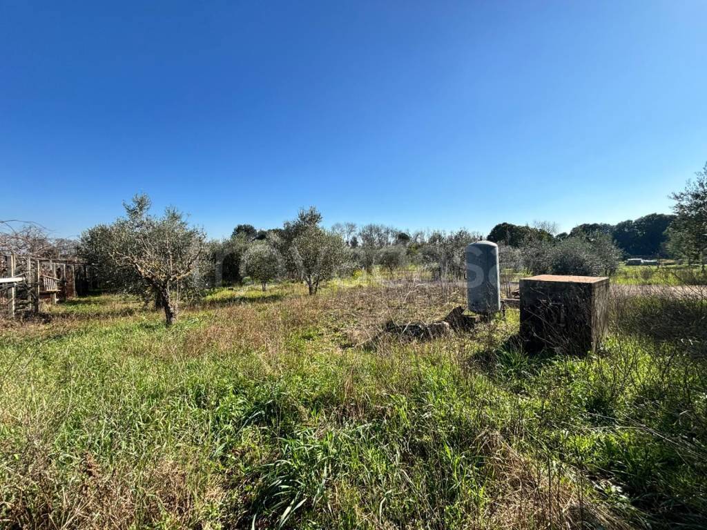 immagine annuncio 7 di 8