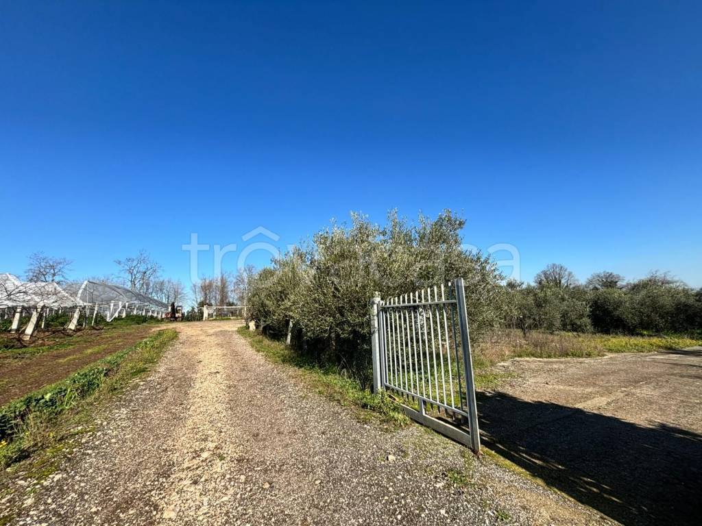 immagine annuncio 1 di 8