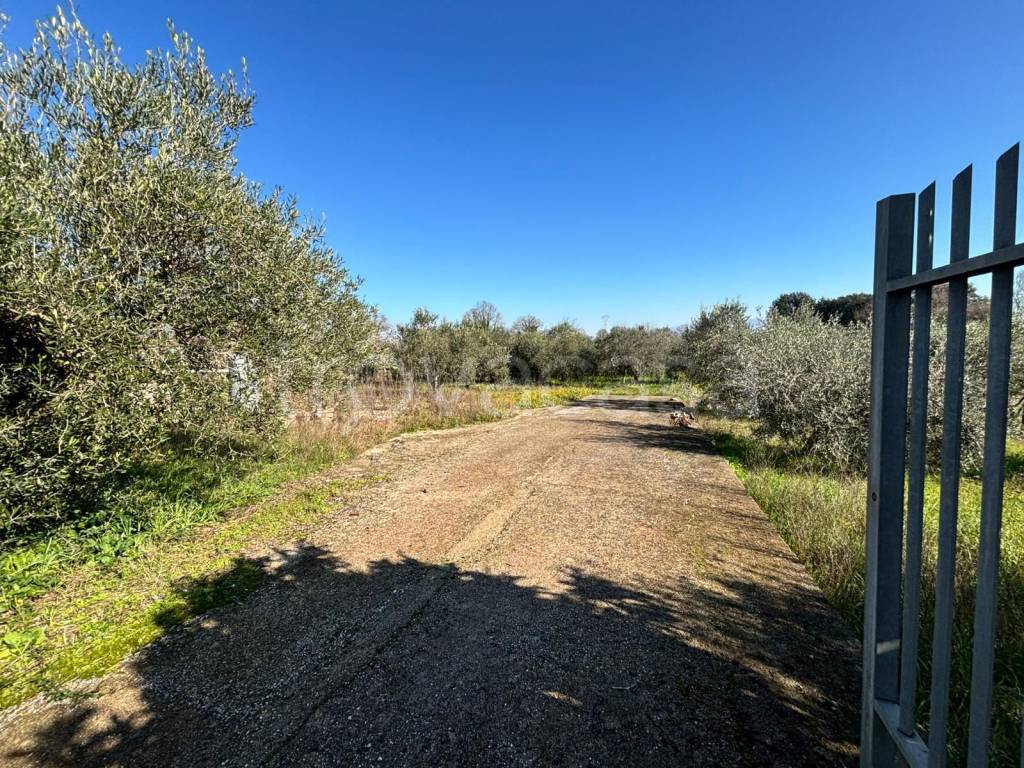 immagine annuncio 2 di 8