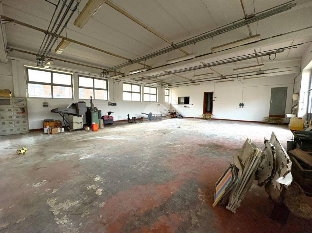 immagine annuncio 14 di 15