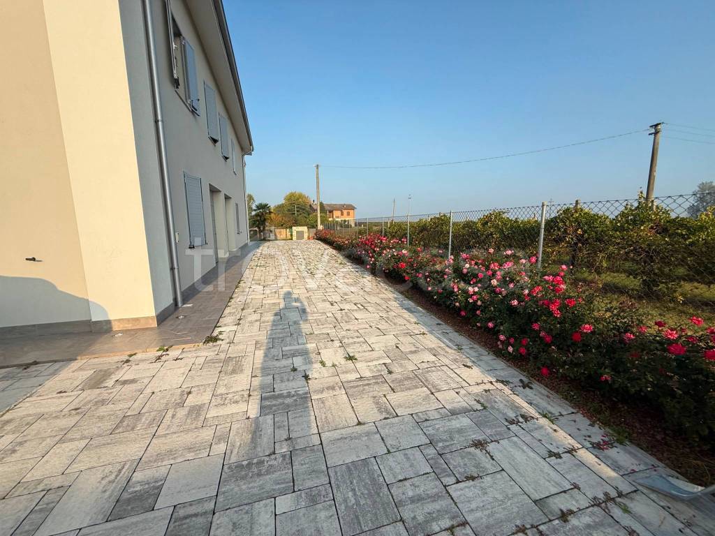 immagine annuncio 3 di 12