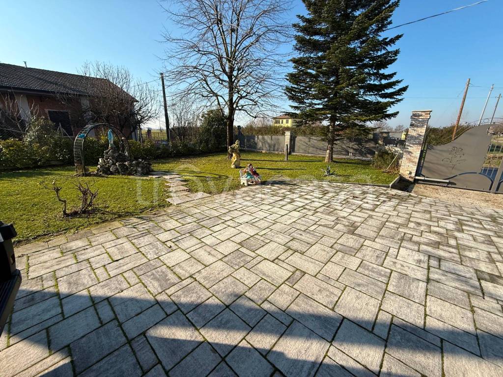 immagine annuncio 11 di 12