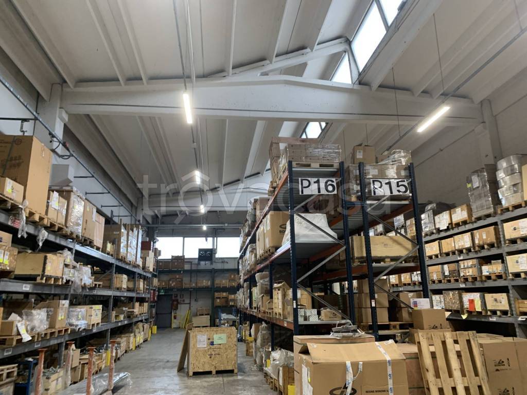 immagine annuncio 13 di 15