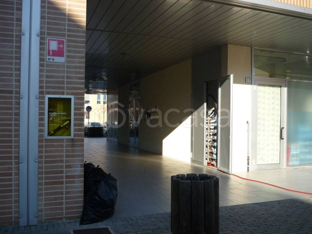 immagine annuncio 12 di 15