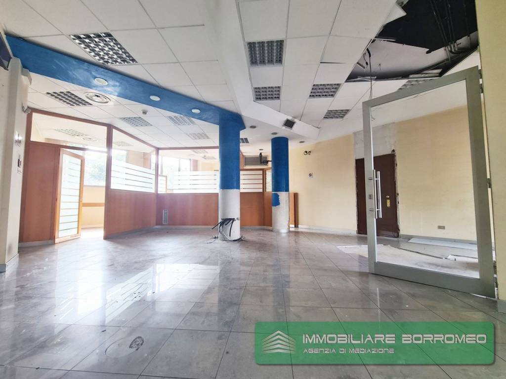 immagine annuncio 3 di 14