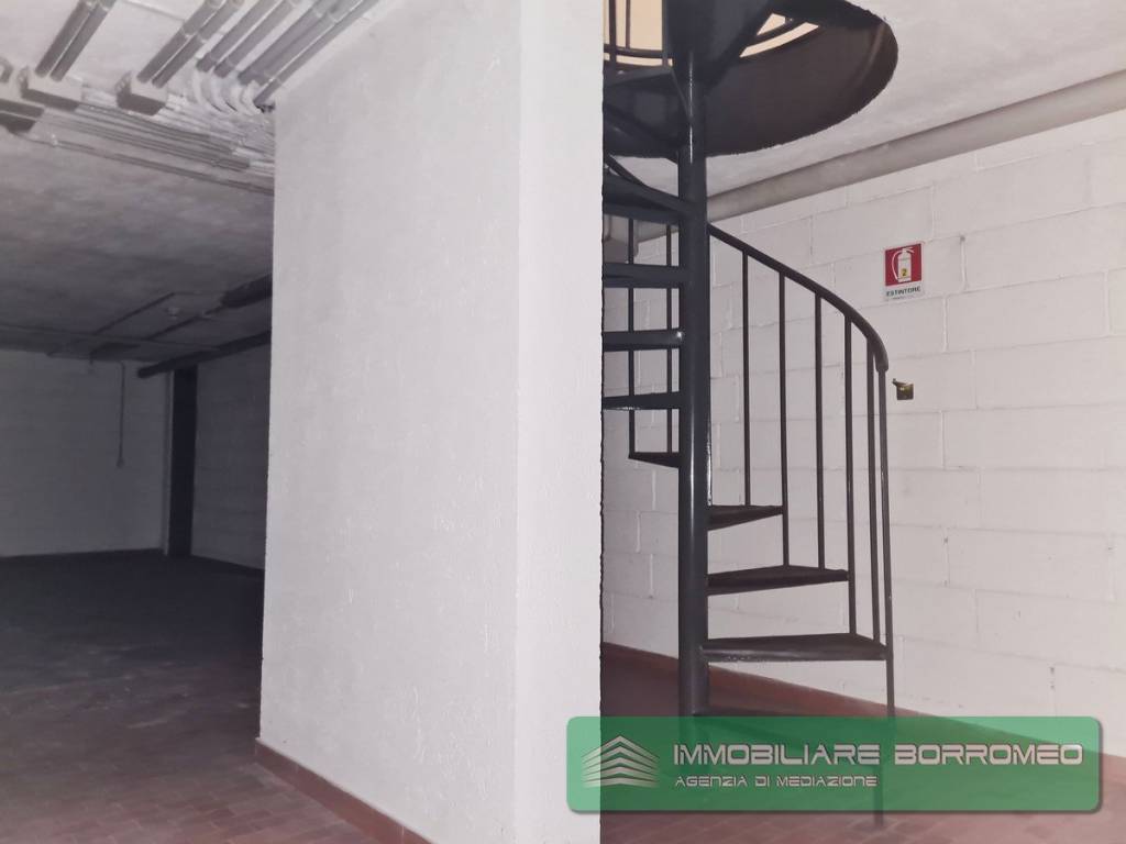 immagine annuncio 11 di 14