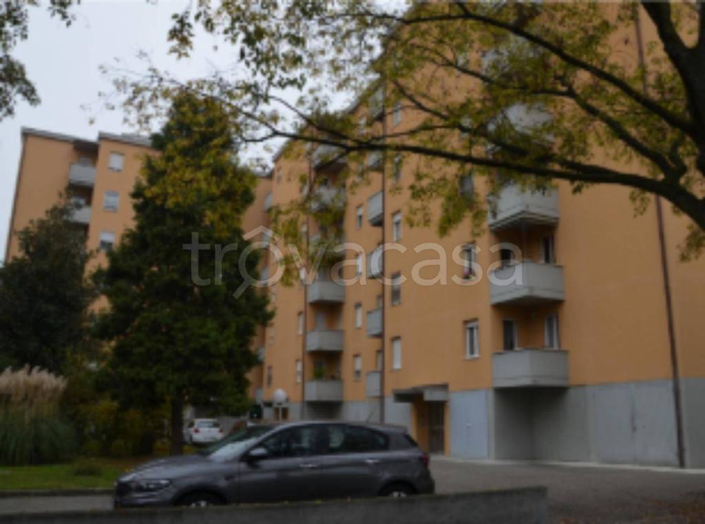 immagine annuncio 4 di 11