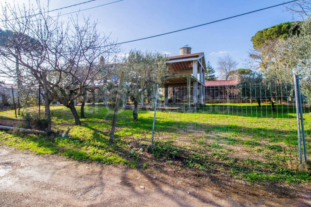 immagine annuncio 3 di 7