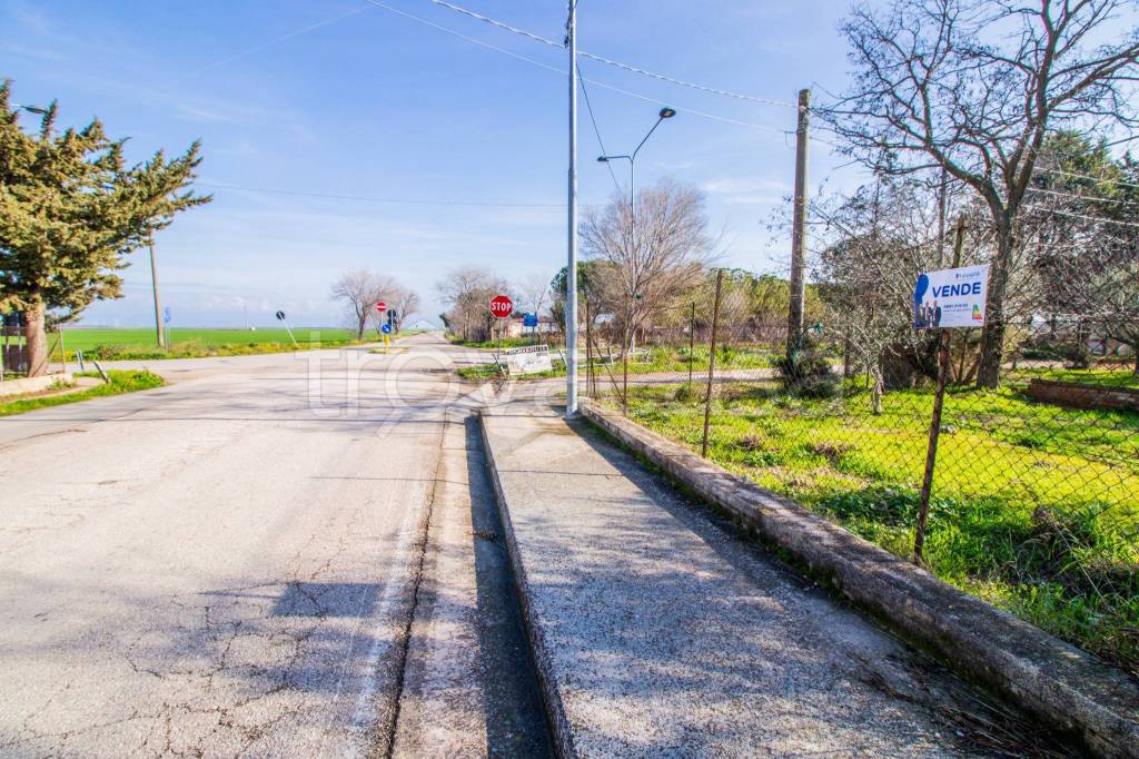 immagine annuncio 6 di 7