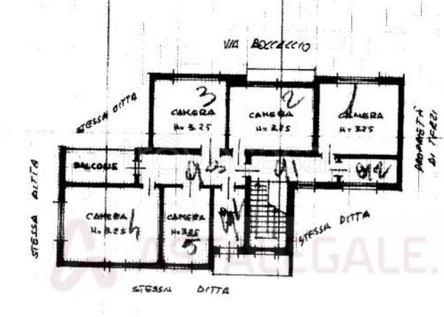 immagine annuncio 7 di 8