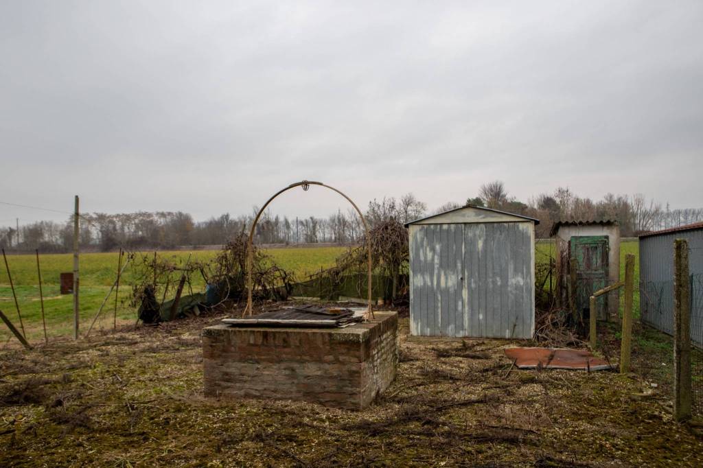 immagine annuncio 5 di 15