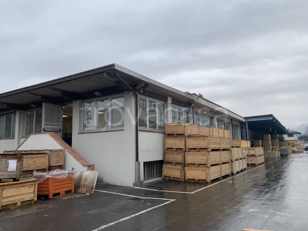 immagine annuncio 7 di 15