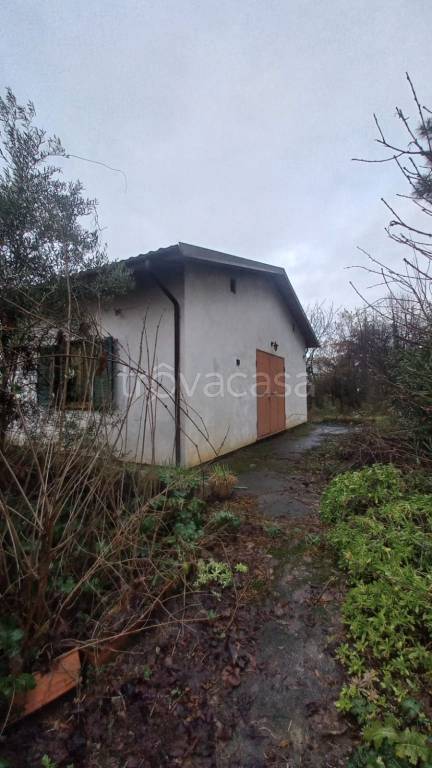 immagine annuncio 2 di 12