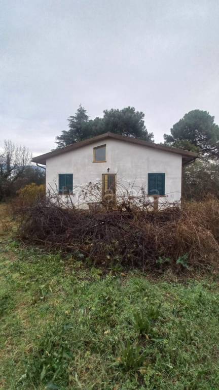 immagine annuncio 10 di 12