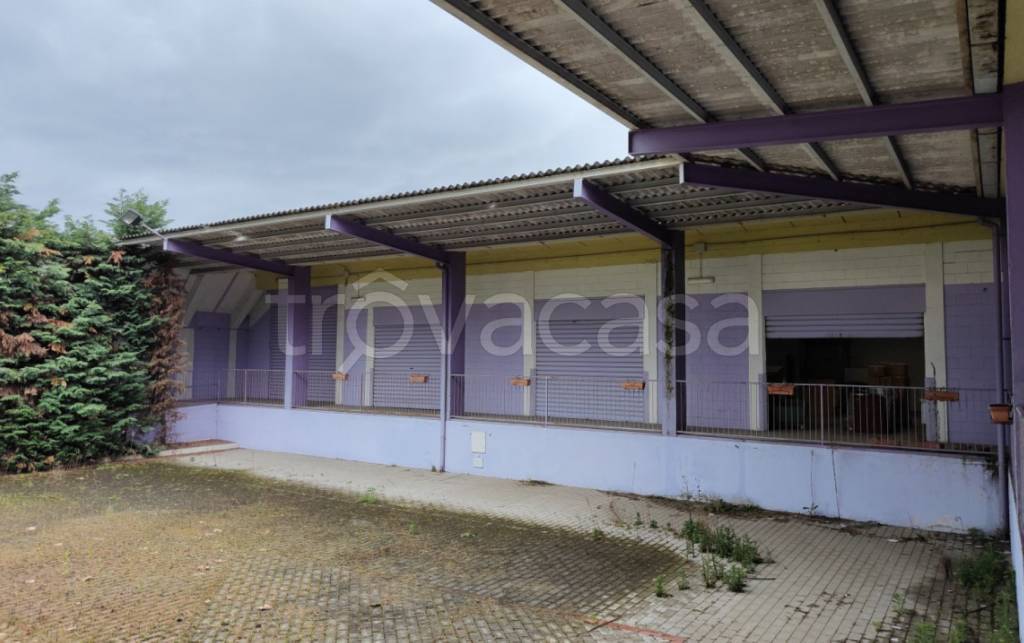 immagine annuncio 2 di 11