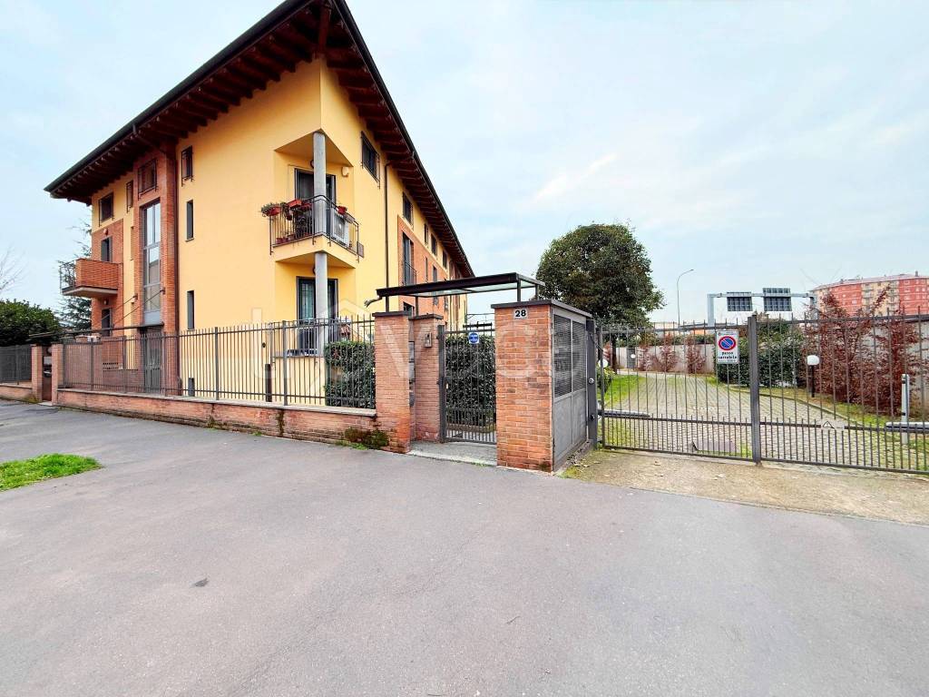 immagine annuncio 1 di 15