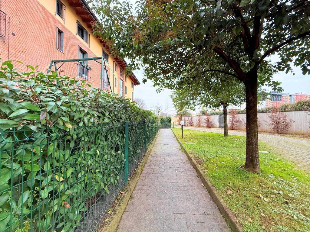 immagine annuncio 2 di 15