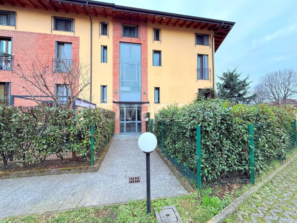 immagine annuncio 3 di 15