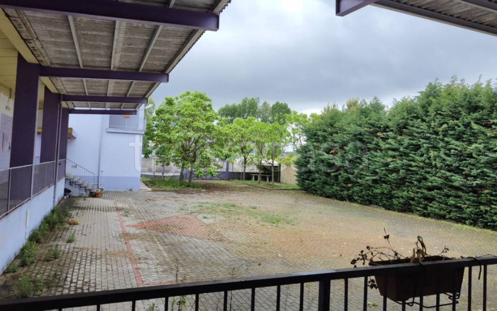 immagine annuncio 3 di 11