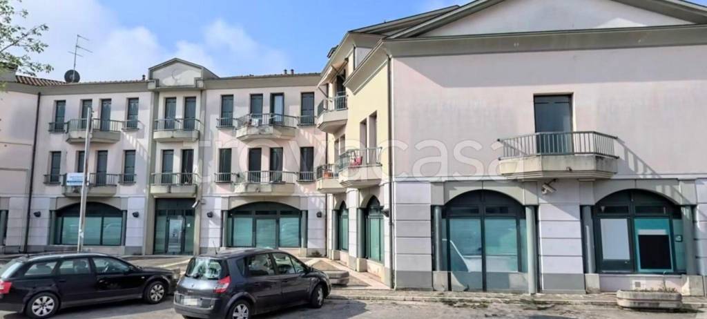 immagine annuncio 9 di 12