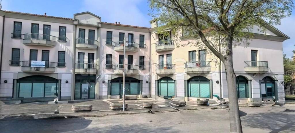 immagine annuncio 5 di 12