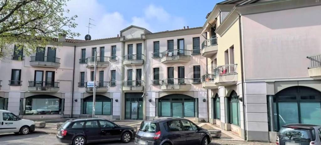 immagine annuncio 7 di 12