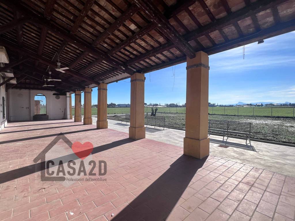 immagine annuncio 10 di 15