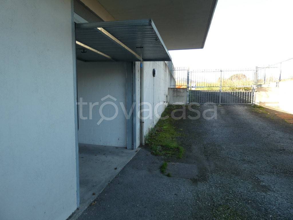 immagine annuncio 11 di 13