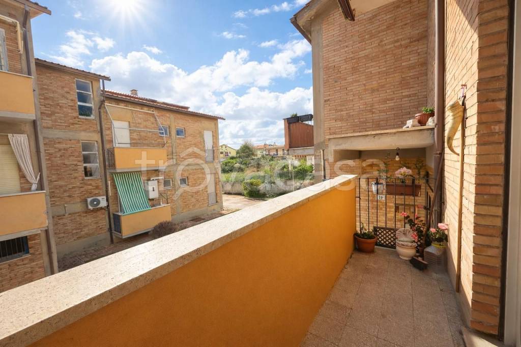 immagine annuncio 11 di 12