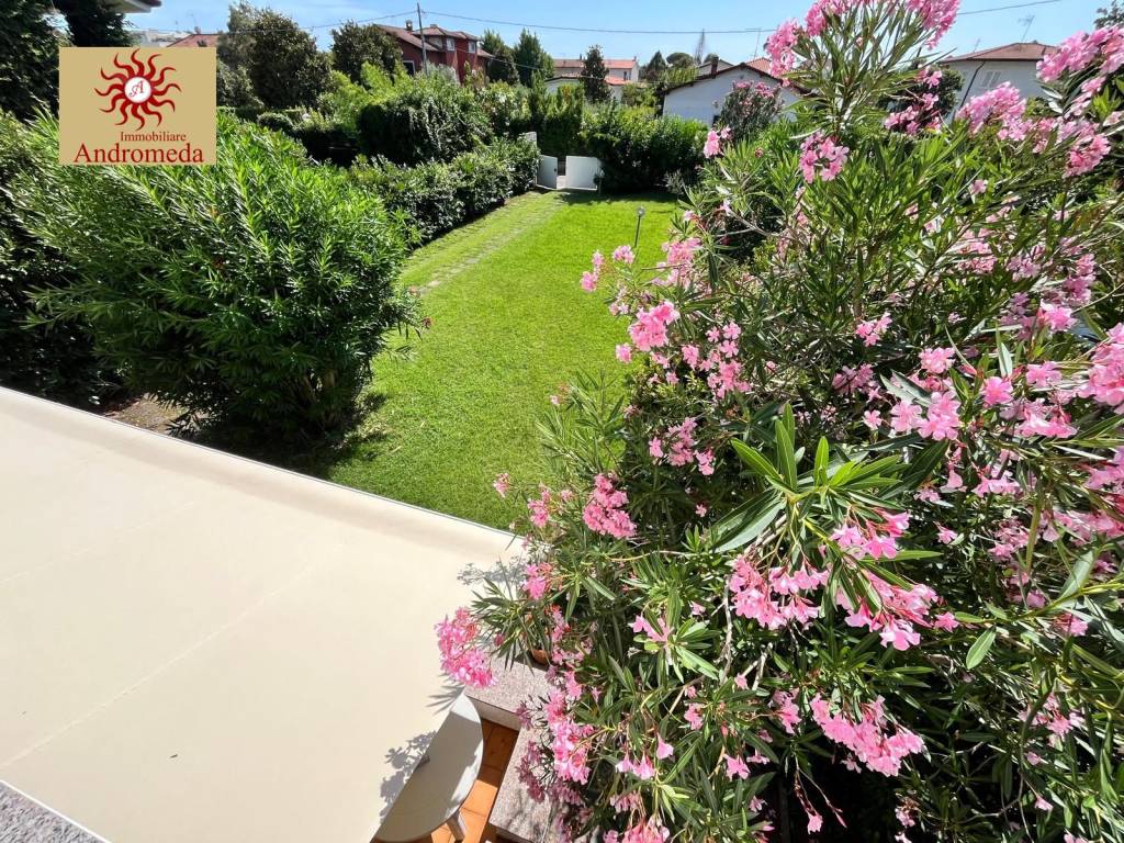 immagine annuncio 4 di 14