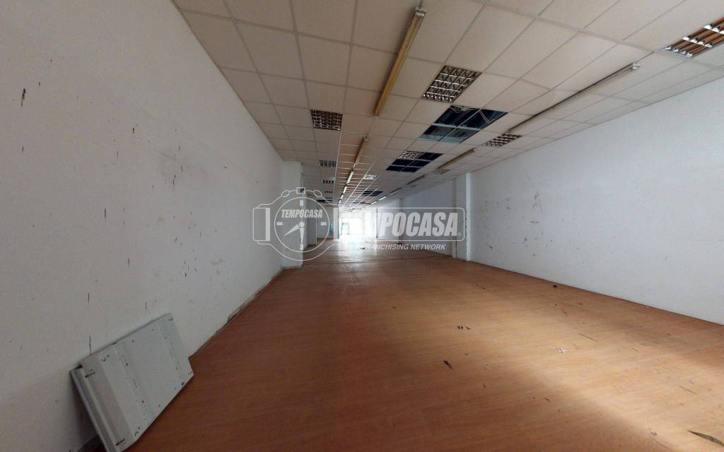 immagine annuncio 9 di 14