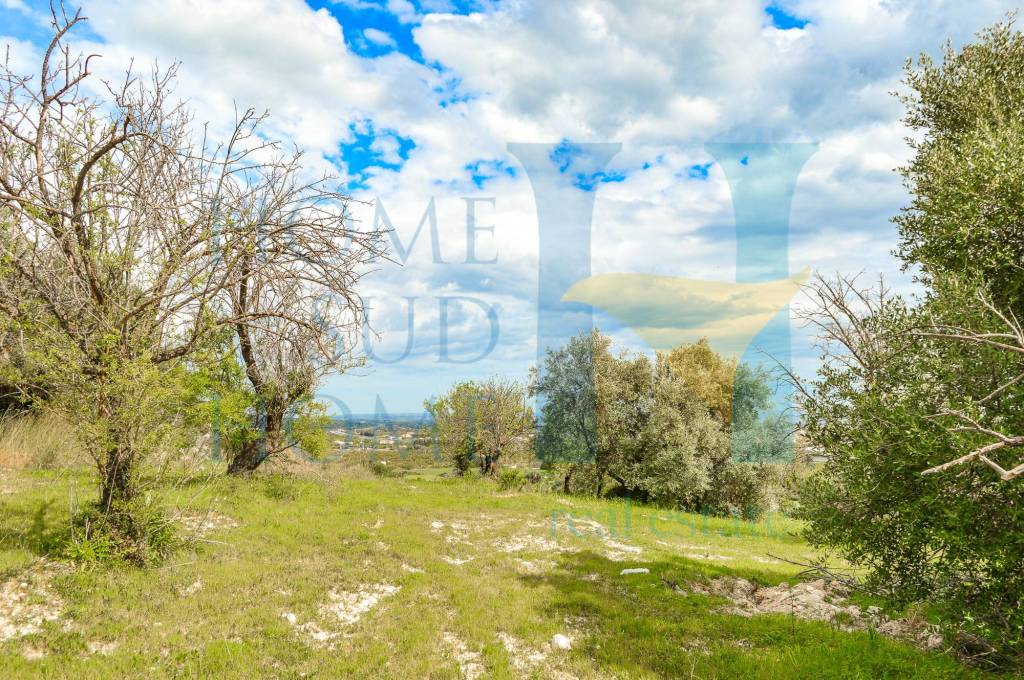 immagine annuncio 7 di 8