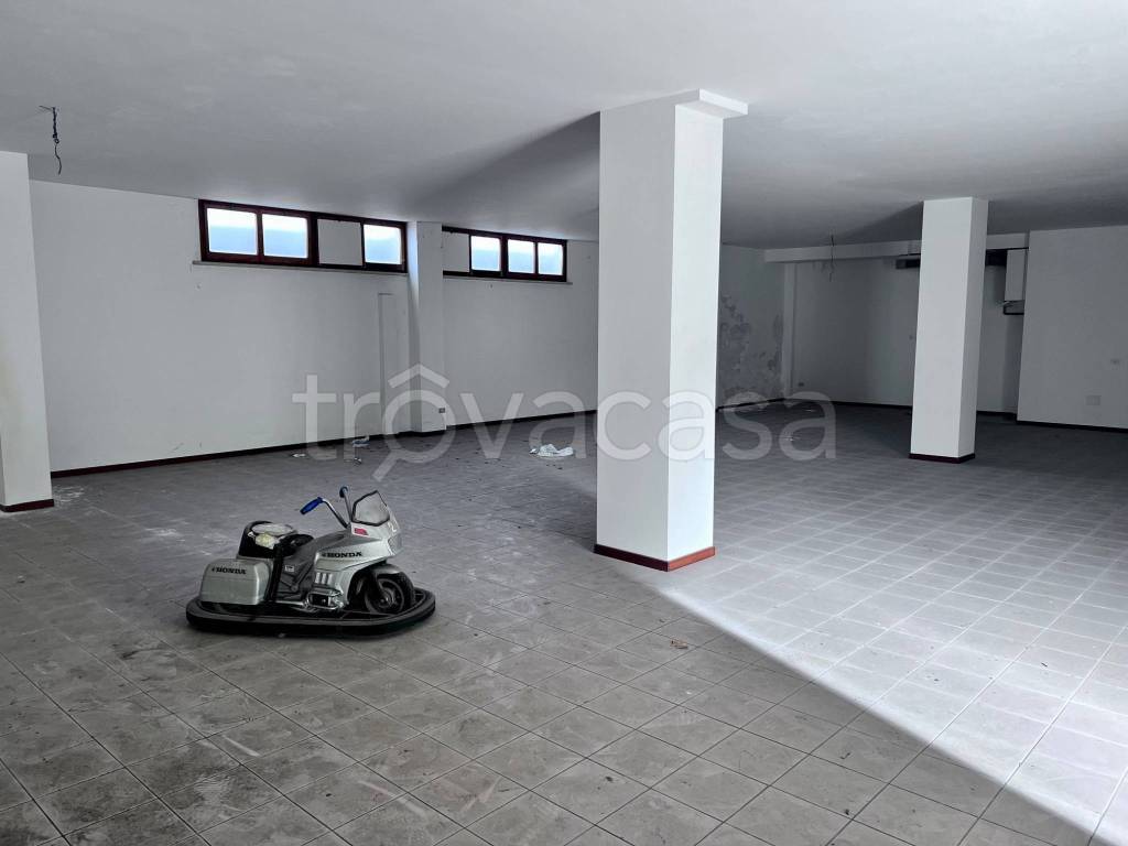 immagine annuncio 2 di 9