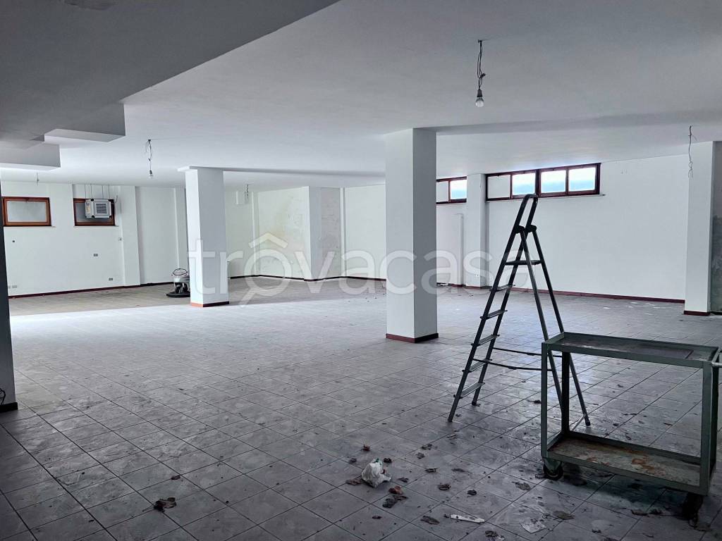 immagine annuncio 5 di 9