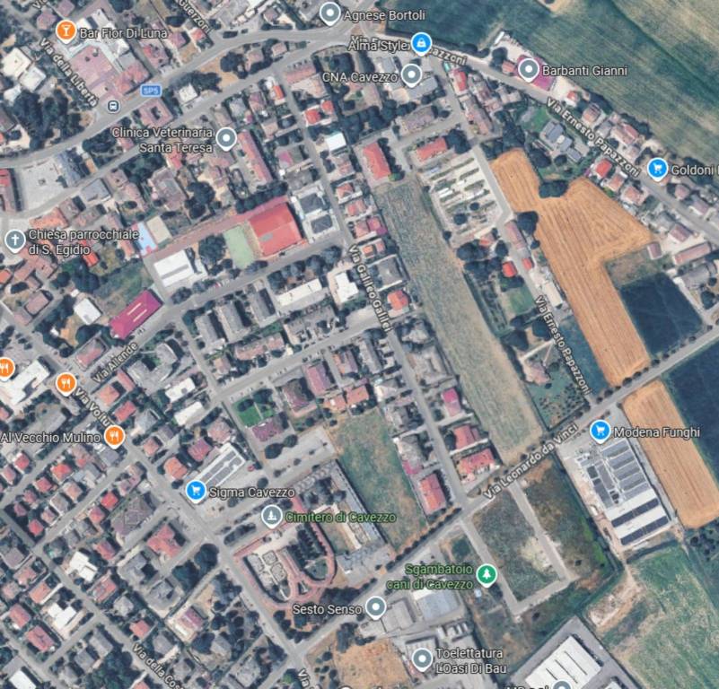 immagine annuncio 3 di 11