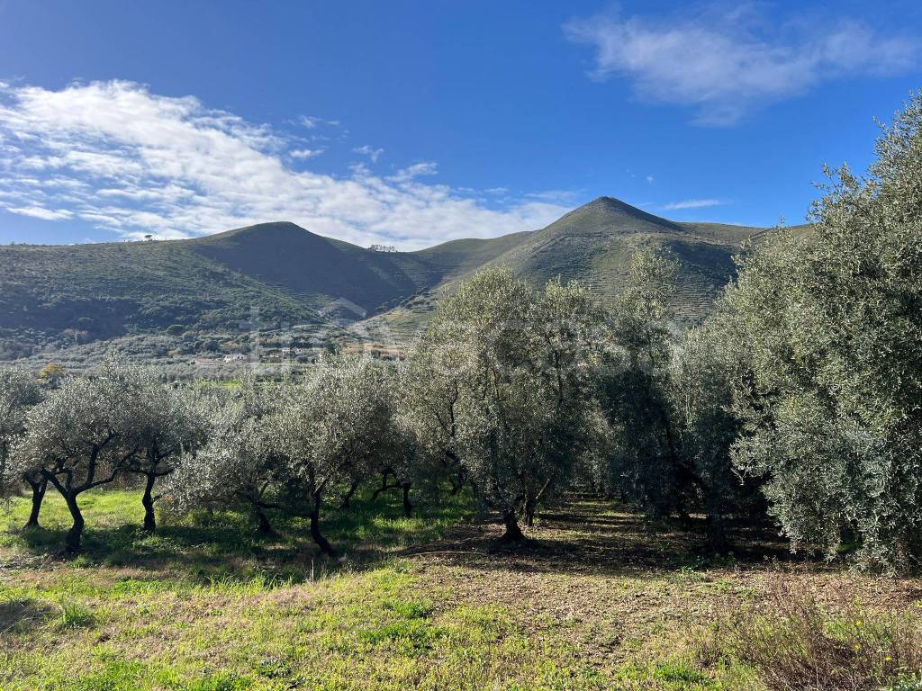 terreno agricolo in vendita a Gaeta