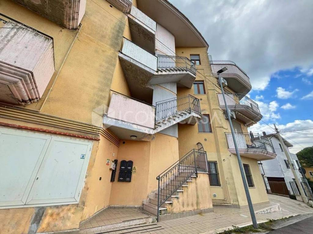 immagine annuncio 14 di 15