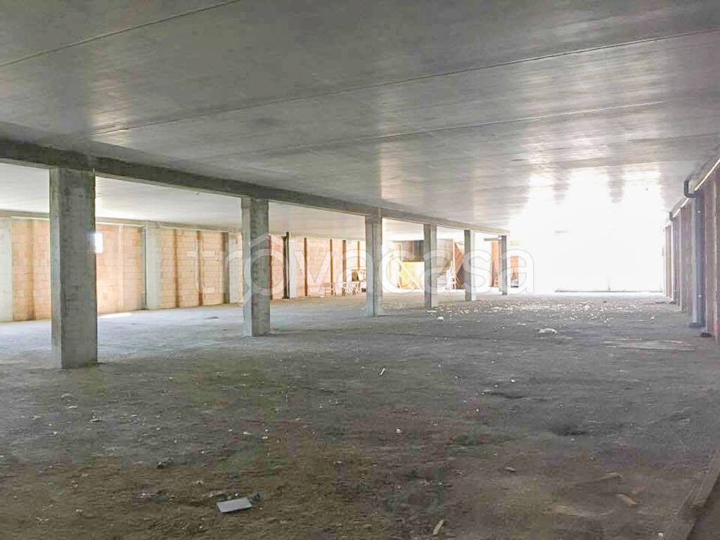 immagine annuncio 2 di 9