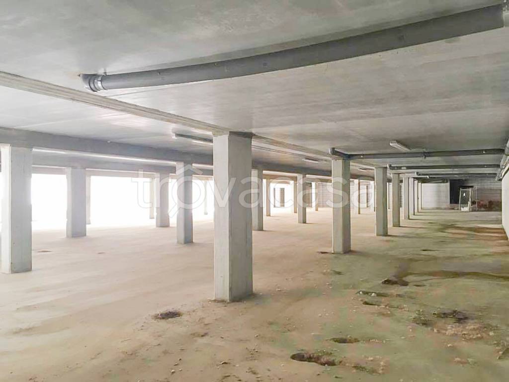 immagine annuncio 1 di 9