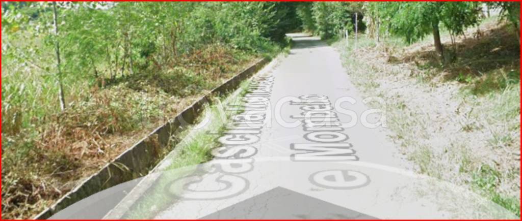 immagine annuncio 5 di 12