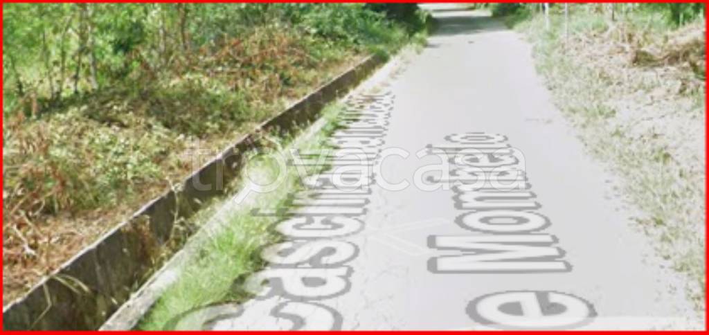 immagine annuncio 7 di 12