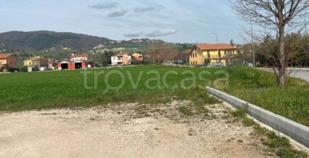 immagine annuncio 2 di 11