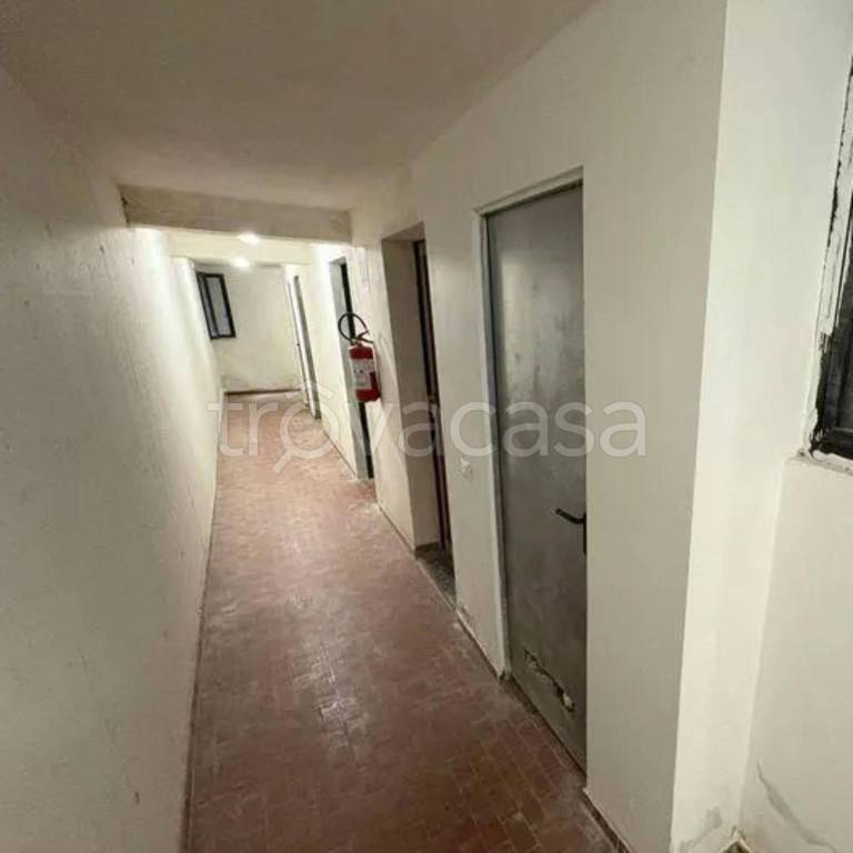 immagine annuncio 8 di 14