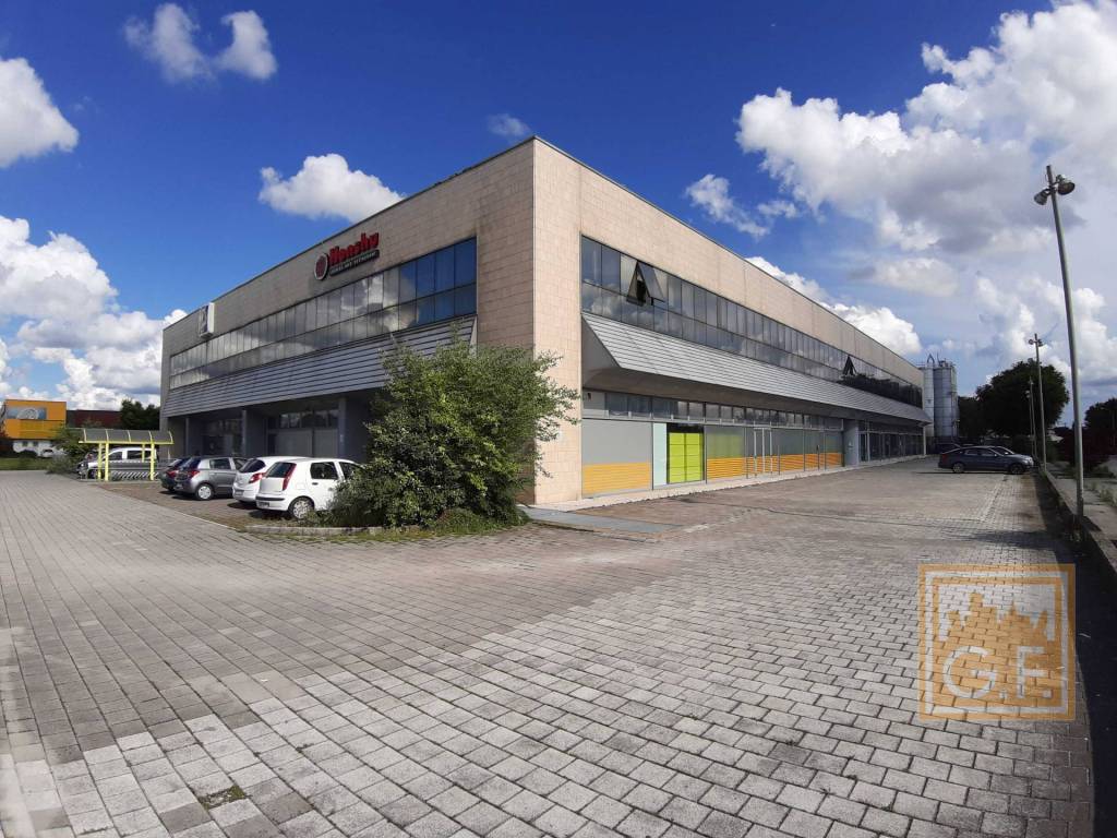 immagine annuncio 2 di 15