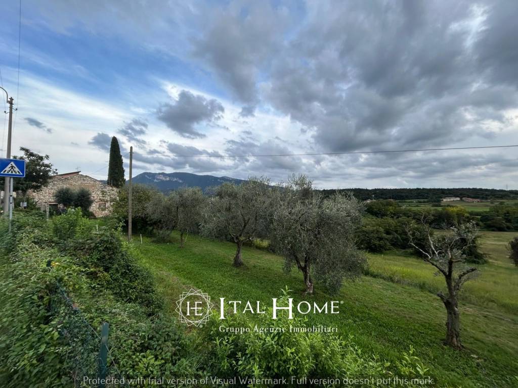 immagine annuncio 1 di 7